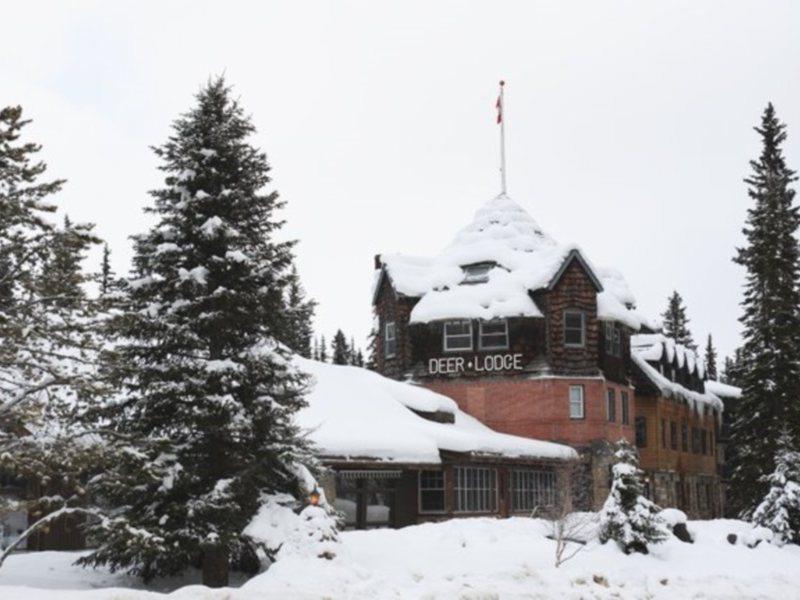 Deer Lodge Lake Louise Exterior foto